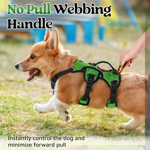 rabbitgoo Escape Proof Dog Harness - Image 4