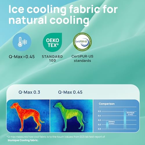 Cooling Dog Bed for Small, Medium Dogs & Cats - Image 3