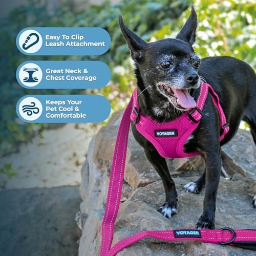 Voyager Step-in Flex Adjustable Dog Harness - Image 6