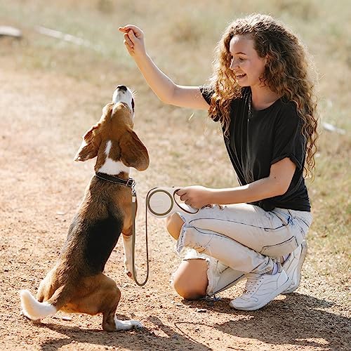 Segarty Retractable Leash Small Dog, 16ft Heavy Duty Walking Dog Leash - Image 7