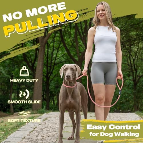 Fida Durable Slip Lead Dog Leash, 6 FT x 3/8" Heavy Duty Loop Leash - Image 2