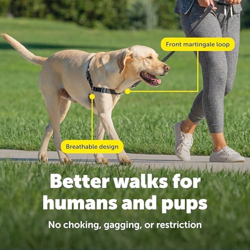 PetSafe Easy Walk Harness, No Pull Dog Harness, Apple Green - Image 4