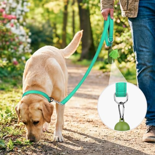 Joytale Reflective Dog Leash for Medium & Large Dogs, 5 FT x 1" - Image 2