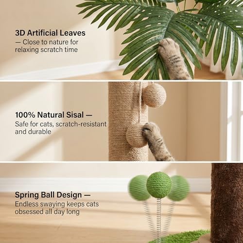 Cat Scratching Post for Indoor Cat Adult, 35 Inch Tall Tree Scratching Post - Image 5