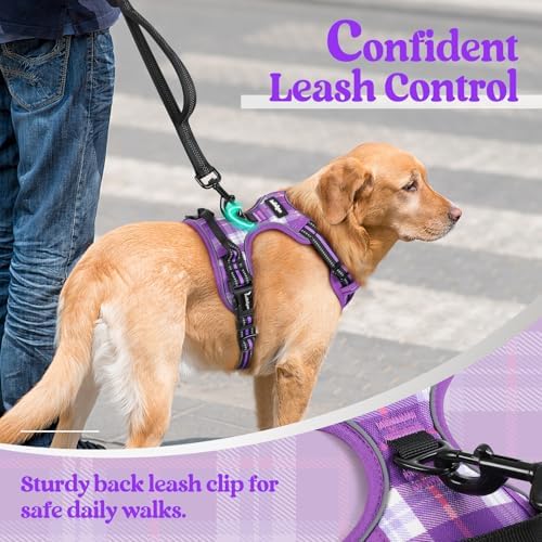 rabbitgoo Dog Harness, No Pull for Small Dogs - Image 6