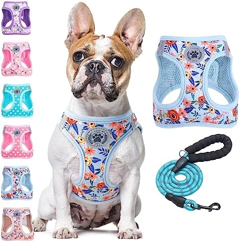 BEAUTYZOO Dog Harness Medium Sized and Leash Set, No Pull Pet Vest -Floral by BEAUTYZOO