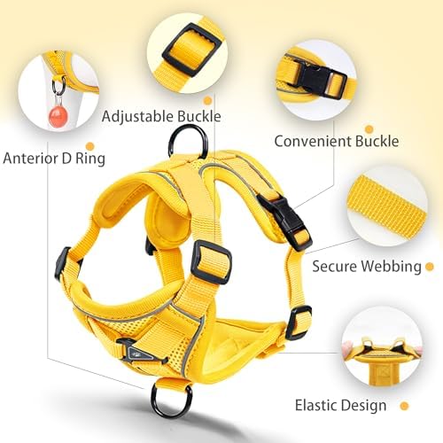 Dog Harness Small Sized Dog Pet Vest - Image 3