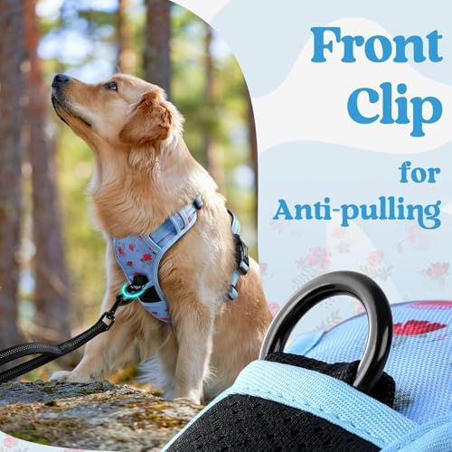 rabbitgoo Dog Harness for Large, Updated Easy On & Off - Image 6