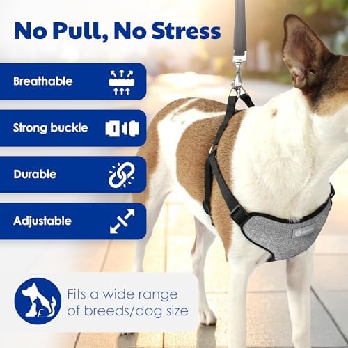 AKC Premium Padded Step-in Dog Harness – Soft Comfort Fit - Image 2