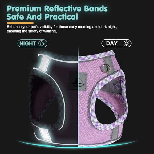 Dog Harness and Leash Set, No Pull Pet Harness - Image 5