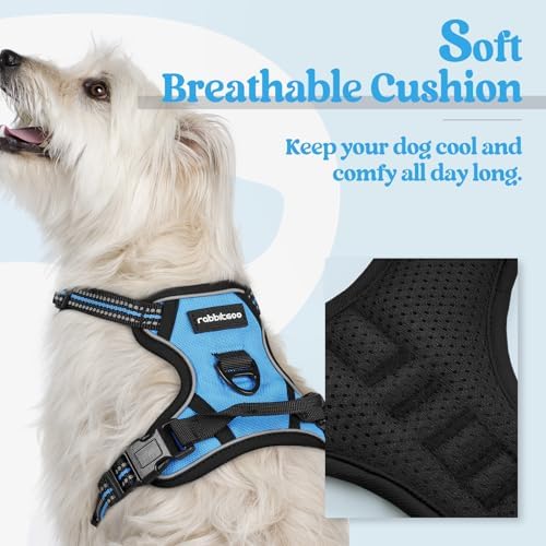rabbitgoo Dog Harness, No Pull for Small Dogs - Image 2