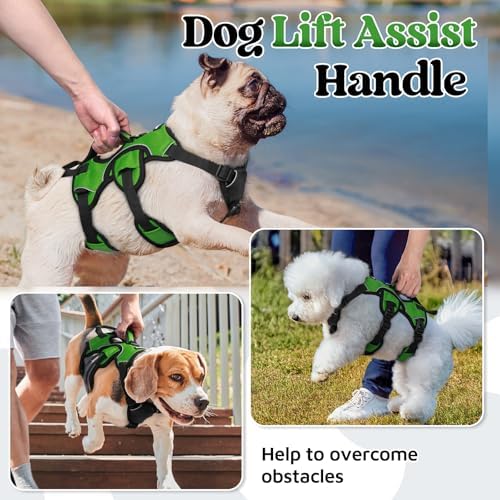 rabbitgoo Escape Proof Dog Harness - Image 3