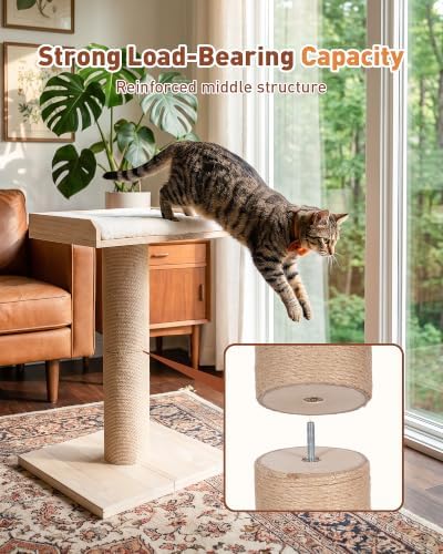 25.2" Cat Scratching Post with Bed, Cat Scratcher - Image 6