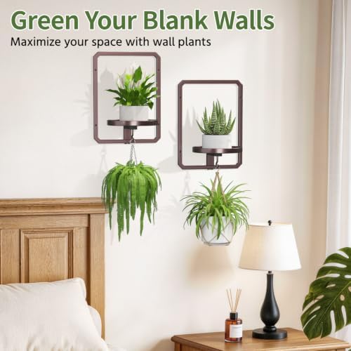 LASZOLA Plant Picture Frame Holder Shelf Wall Window Indoor - Image 3