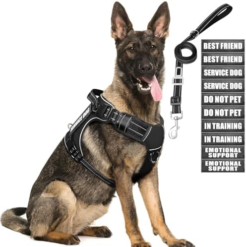 Tactical Dog Harness and Leash Set by MOOGROUPETSFRIEND
