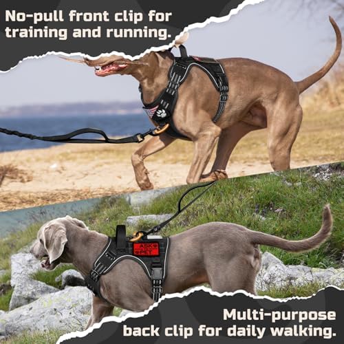 rabbitgoo Tactical Dog Harness for Small, No Pull Military Service Vest - Image 5