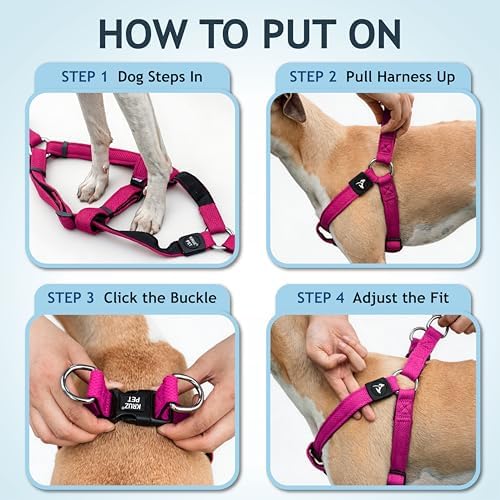 Kruz No Pull Dog Harness Heavy-Duty Pet Harness - Image 5