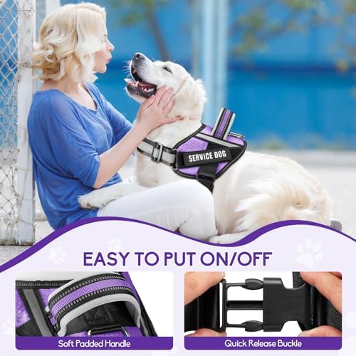 Service Dog Harness and Leash Set, - Image 4