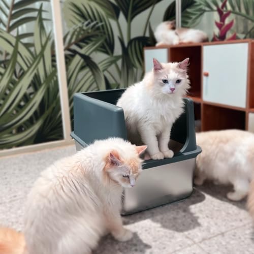 Stainless Steel Litter Box - Image 6