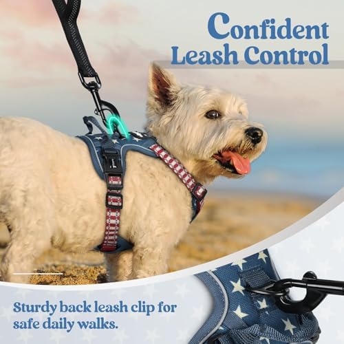 rabbitgoo Dog Harness, No Pull for Small Dogs - Image 6