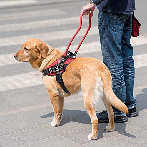 2 Pcs Reflective Service Dog in Training Patch Set - Image 6