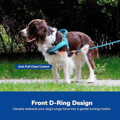Didog No Pull Dog Harness for Medium Dogs, Breathable Mesh Padded - Image 5