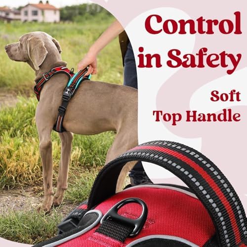 rabbitgoo Dog Harness Small Sized, Updated Easy On & Off - Image 5