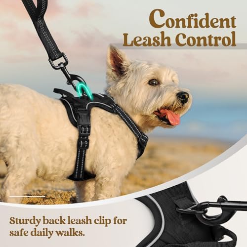 rabbitgoo Dog Harness, No Pull for Small Dogs - Image 6