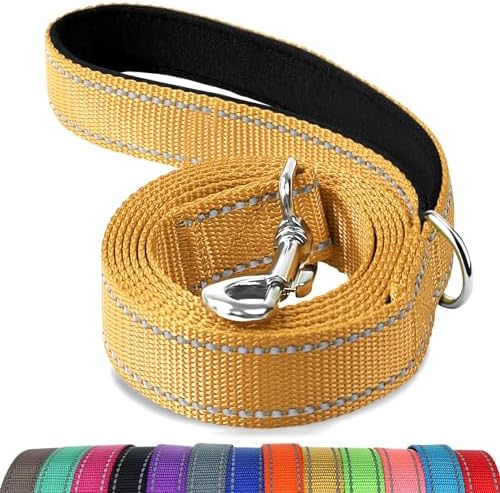 Joytale Reflective Dog Leash for Medium & Large Dogs, 6 FT x 1" by Joytale