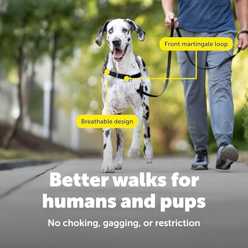 PetSafe Easy Walk Harness, No Pull Dog Harness, Extra Large - Image 4