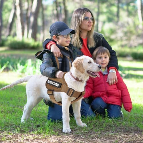 VOOPET Emotional Support Dog Harness, Professional Service Dog Vest - Image 3