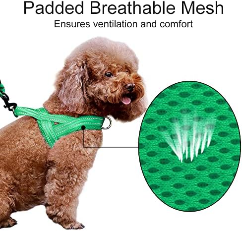 Plutus Pet No Pull Dog Harness for Puppy Small Dogs, Breathable Mesh Padded - Image 3