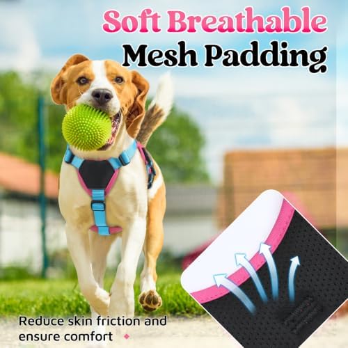 rabbitgoo Escape Proof Dog Harness - Image 6