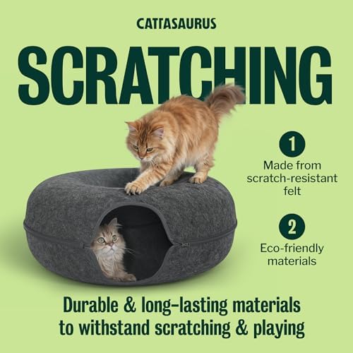 Cattasaurus Peekaboo Cat Cave Donut - Image 6