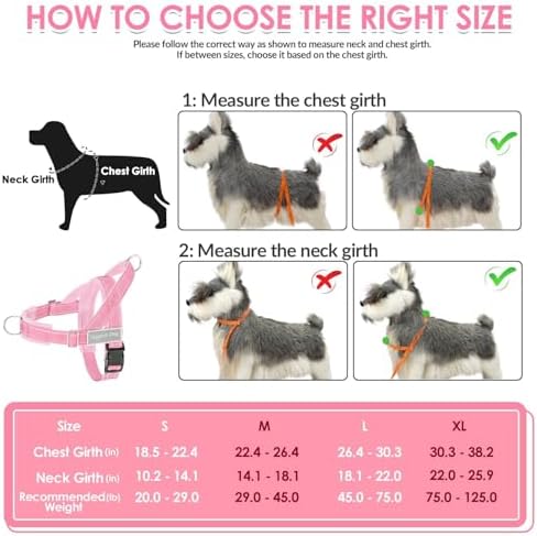 SlowTon No Pull Dog Harness and Leash Set - Image 6