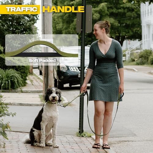 Fida 10 FT Heavy Duty Dog Leash, Dual Padded Handles - Image 4