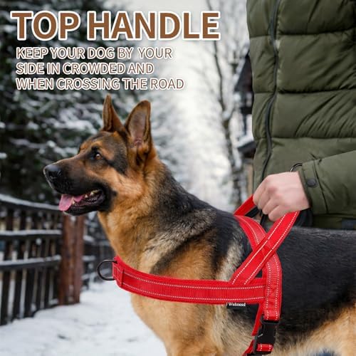 No Pull Dog Harness and 5FT Leash Set - Image 6