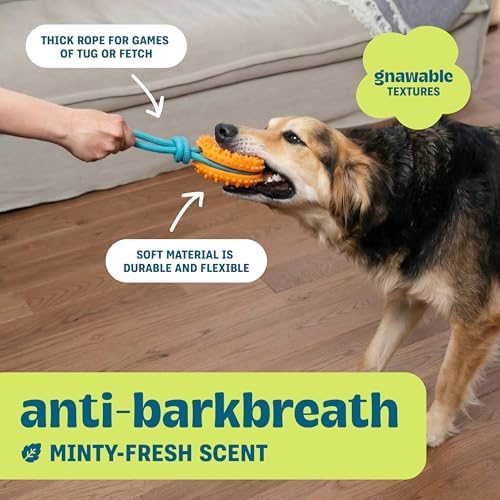 Dental Chew Wheel Durable Dog Toy, Tug & Chew, Mint Scent - Image 4