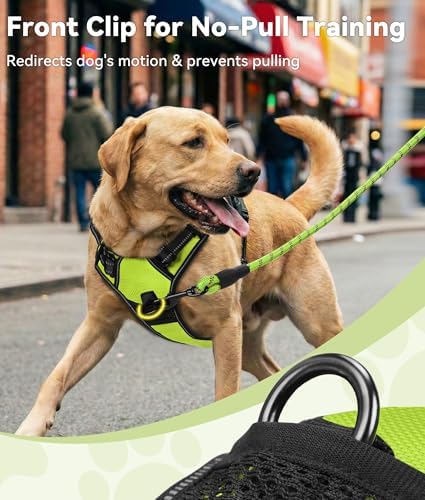 Joytale No Pull Dog Harness for Small Dogs, Front Clip - Image 2