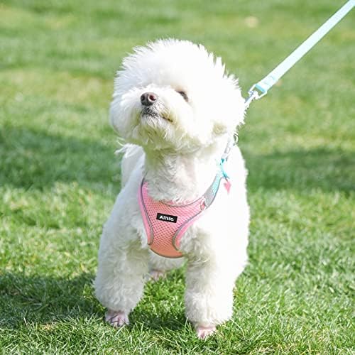 AIITLE Small Dog Harness and Leash Set, Step-in Puppy Pet Vest - Image 3