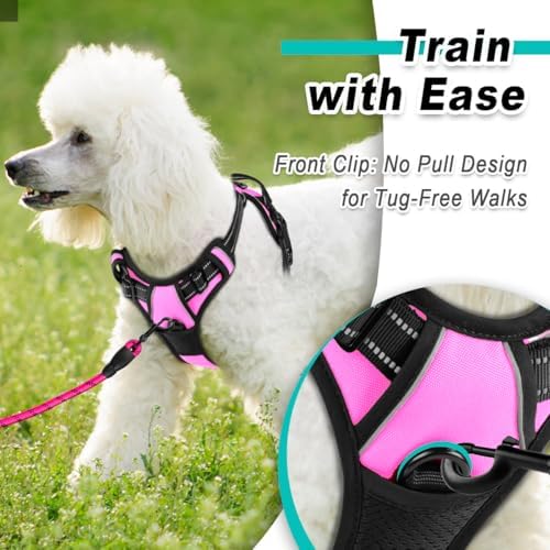 BARKBAY Dog Harness for Small Sized Dog No Pull 2 Leash Clips Dog Vest - Image 2