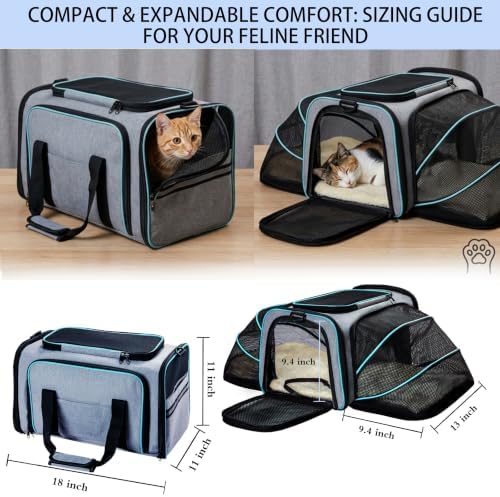 Cat Dog Carrier - Image 2
