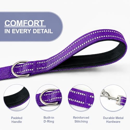 Double Dog Leash Padded Handle 360°Swivel No Tangle Dual Leash - Image 4