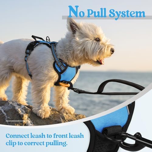 rabbitgoo Dog Harness, No Pull for Small Dogs - Image 5
