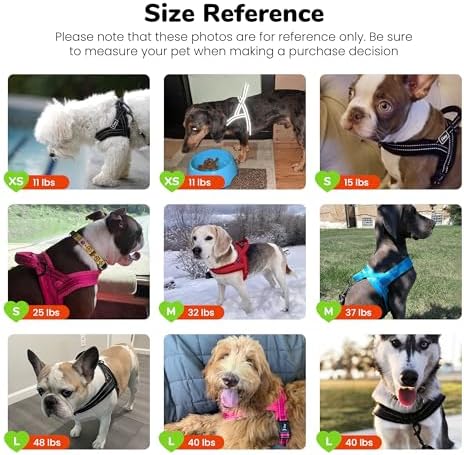 Didog No Pull Dog Harness for Large Dogs, Soft Flannel Padded, Hot Pink - Image 6