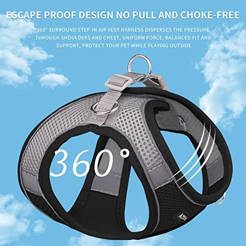 AIITLE Small Dog Harness and Leash Set, Step-in Puppy Pet Vest - Image 2