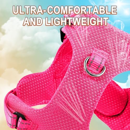 BARKBAY Small Dog Harness, No Pull Puppy Harness, Step-in Dog Vest - Image 2