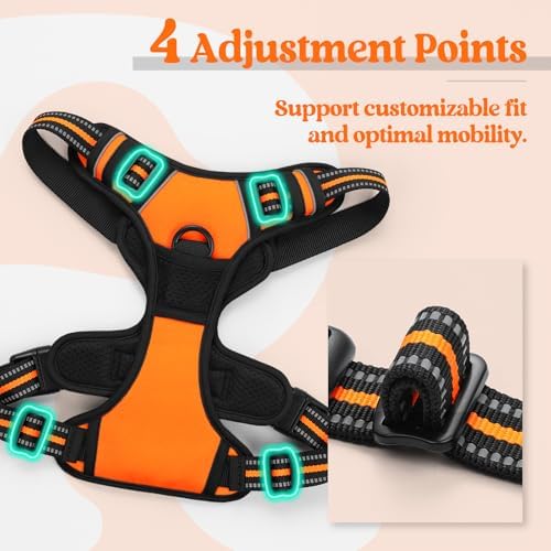 rabbitgoo Dog Harness, No Pull Medium Sized - Image 4