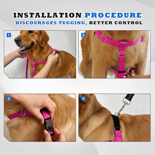 Freedom No Pull Dog Harness - Image 5