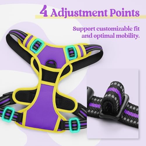 rabbitgoo Dog Harness, No Pull for Large Dogs - Image 4